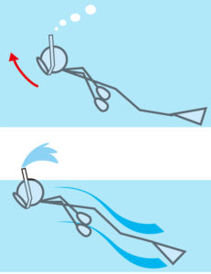 スノーケリングの浮上の仕方